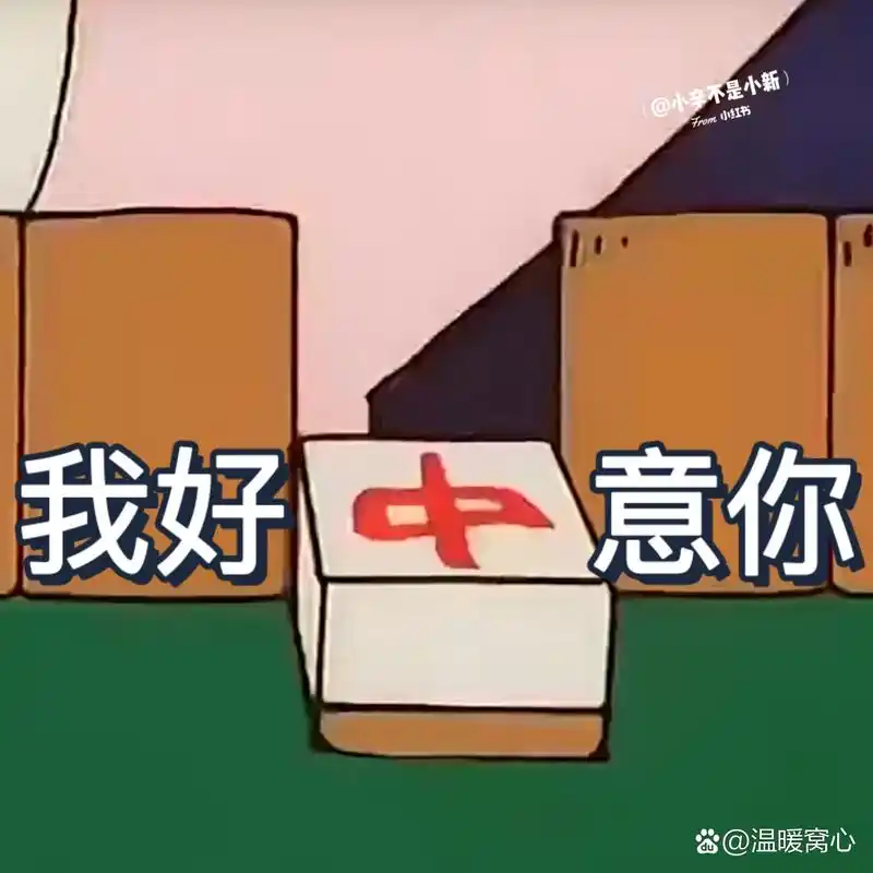 350vip浦京的毕业生